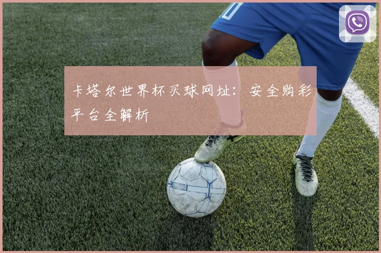卡塔尔世界杯买球网址：安全购彩平台全解析