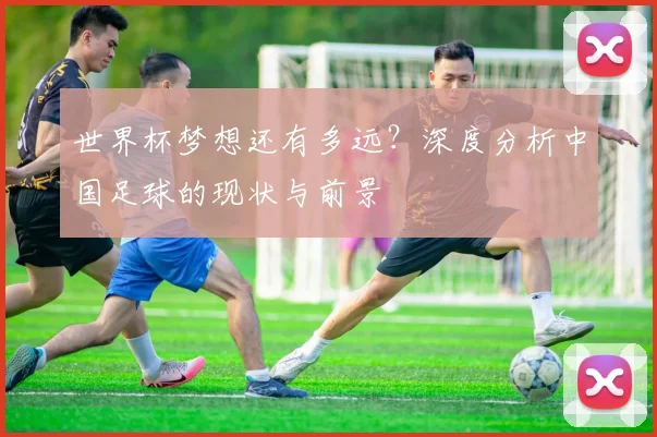 世界杯梦想还有多远？深度分析中国足球的现状与前景