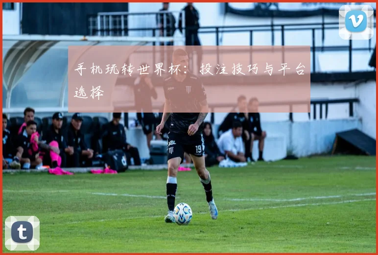 手机玩转世界杯：投注技巧与平台选择