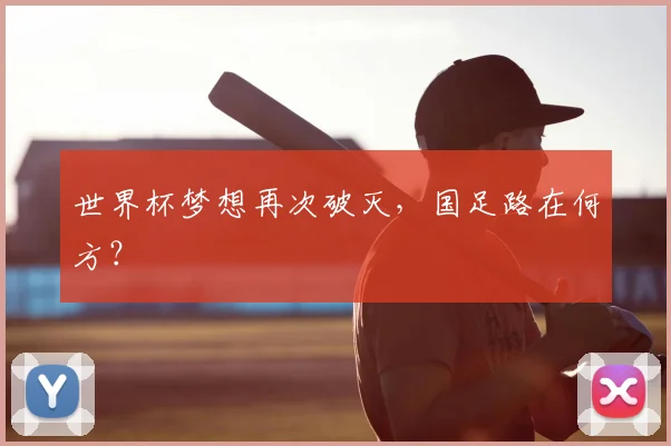 世界杯梦想再次破灭，国足路在何方？