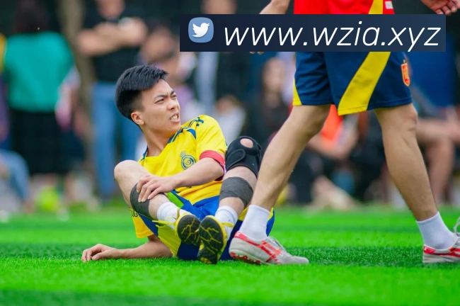 多媒体互动体验