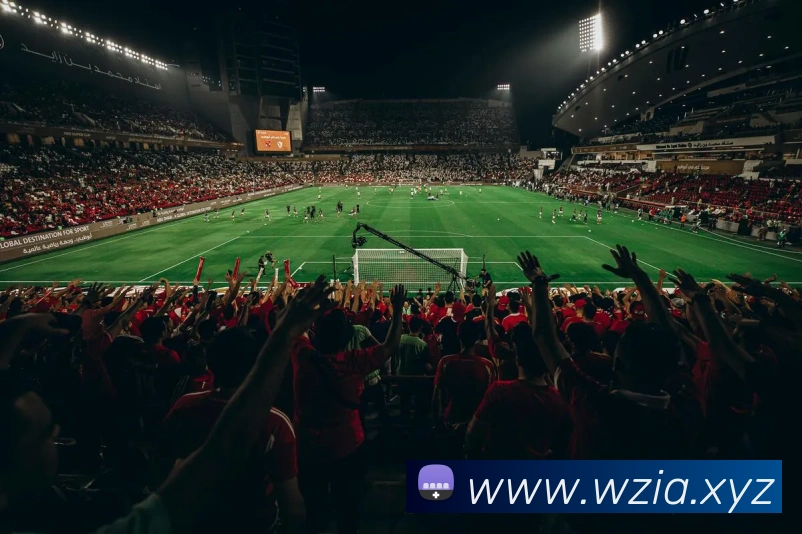 up体育官网APP 体育赛事宣传图